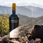 Vinho-Tinto-Argentino-Terrazas-Malbec-Reserva-Garrafa-750ml