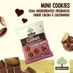 Mini-Cookies-Mae-Terra-Cacau-e-Castanhas-120g
