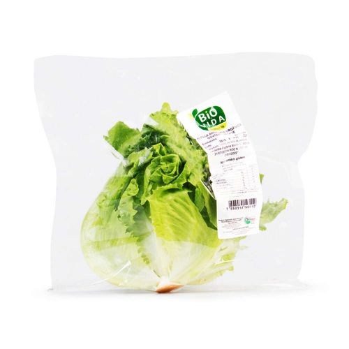 Alface Americana Orgânica Bio Vida 250g