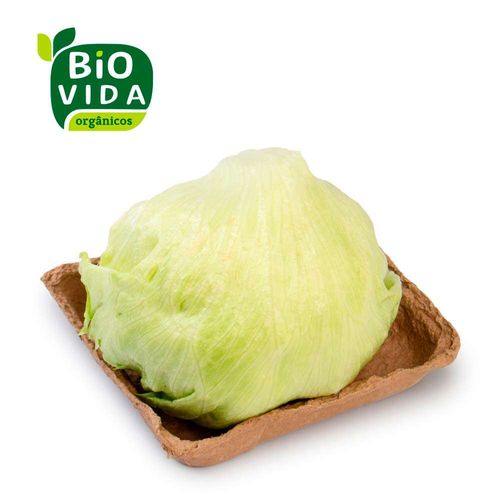 Alface Americana Orgânica Bio Vida