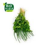 Cheiro-Verde-Organico-Bio-Vida