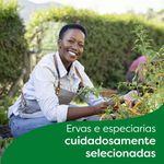 Caldo-Knorr-Zero-Sal-Galinha-48g-6-cubos