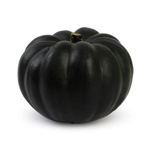 Abóbora Pérola Negra Unidade