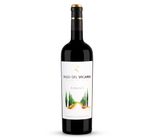 Vinho Tinto Espanhol Pago Del Vicario 6 Meses Garrafa 750ml