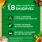 7891000246832---NESTLE®-PURINA®-DOG-CHOW®-Extralife®-Racao-Seca-para-Caes-Adultos-Medios-e-Grandes-Carne-e-Arroz-1kg---1.jpg