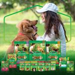 7891000246832---NESTLE®-PURINA®-DOG-CHOW®-Extralife®-Racao-Seca-para-Caes-Adultos-Medios-e-Grandes-Carne-e-Arroz-1kg---1.jpg