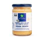 Cocada Zero Adição de Açúcar São Lourenço Vidro 375g