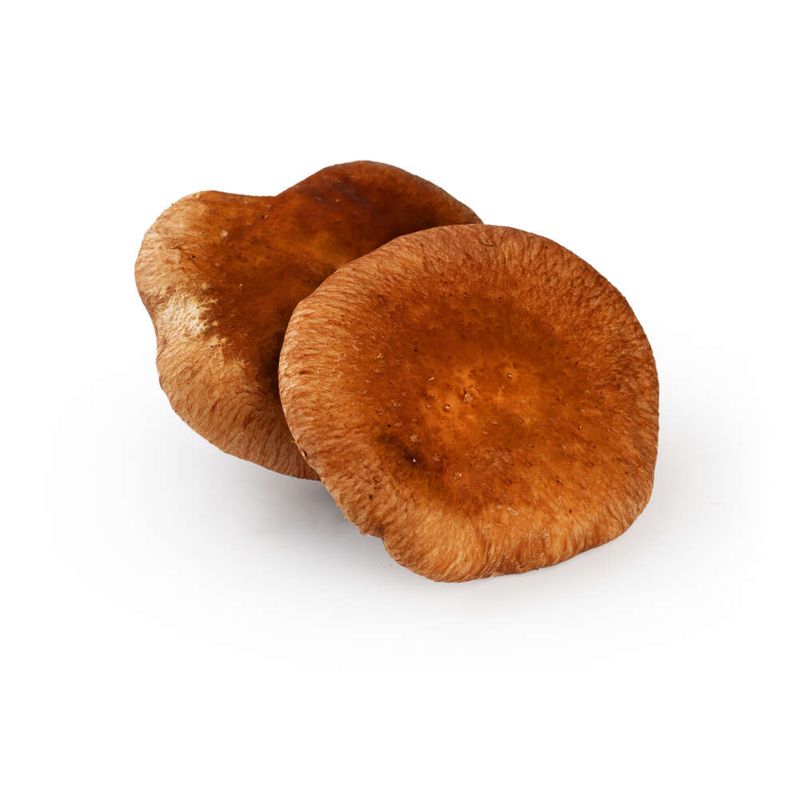 Cogumelo-Shiitake-Organico-Yuri-Bandeja-200g