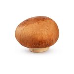 Cogumelo-Portobello-Organico-250g