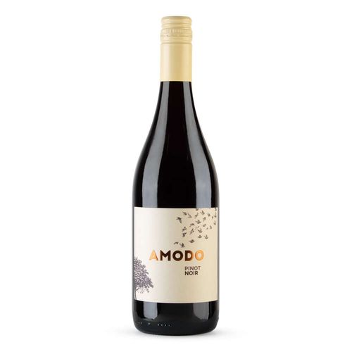 Vinho Tinto Italiano Pinot Noir Amodo Garrafa 750ml
