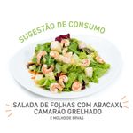 Salada-Mix-Folhas-com-Abacaxi-Quasi-Pronto-450g