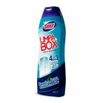 LIMPA-BOX-SANY-300ML