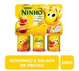 Nestlé Ninho® Iogurte Polpa de Morango, Salada de Frutas e Maçã e Banana 540G com 6 unidades