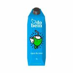 Agua-De-Coco-Do-Bem-Tetra-Pak-1-L
