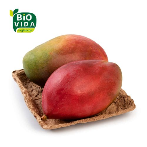 Manga Palmer Orgânica 500g