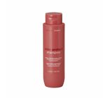 Shampoo Braé Stages Color Protect 250ml