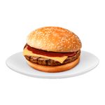 Hot-Hit-X-Burguer-Barbecue-Seara-145g