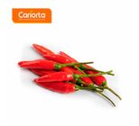 Pimenta Malagueta Cariorta 100g