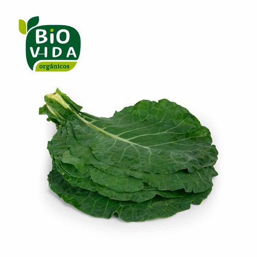 Couve Manteiga Orgânica Bio Vida