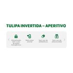 Tulipa-Invertida-Korin-400g