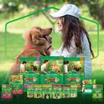 Racao-para-Caes-Dog-Chow-Adulto-Racas-Pequenas-Frango-e-Arroz-1kg