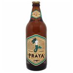 Cerveja-Brasileira-Praya-Witbier-600ml