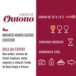 Vinho-Branco-Chileno-Mario-Geisse-Costero-Garrafa-750ml