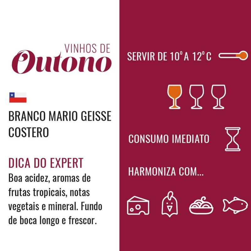 Vinho-Branco-Chileno-Mario-Geisse-Costero-Garrafa-750ml