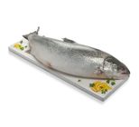 Peixe Salmão Inteiro Fresco 3kg