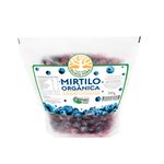 Mirtilo-Organico-Gourmet-Congelado-Fazenda-Guata-Pora-260g