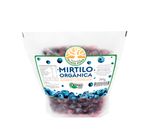 Mirtilo Orgânico Gourmet Congelado Fazenda Guata Porã 260g