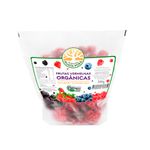 Mix-de-Frutas-Vermelhas-Organicas-Fazenda-Guata-Pora-260g