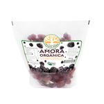 Amora-Organica-Gourmet-Congelada-Fazenda-Guata-Pora-260g