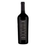 Vinho-Tinto-Brasileiro-Cabernet-Sauvignon-Terroir-XXVII-Luiz-Argenta-Garrafa-750ml