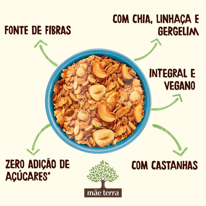 Granola-Tradicional-Zero-Acucar-Mae-Terra-Pacote-800g