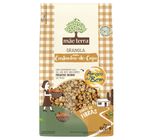 Granola mãe terra Castanha-de-caju Amigos do Bem 400 g