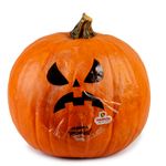 Abobora-Especial-Decorativa-Halloween-42kg