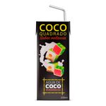 Agua-de-Coco-Sabor-Melancia-Coco-Quadrado-200ml