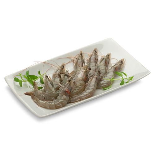 Camarão Cinza Pequeno Resfriado Cia Do Peixe 500g