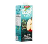 Suco Tial Maçã 100% 1L