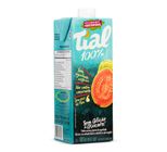 Suco Tial Goiaba e Maçã 100% 1L