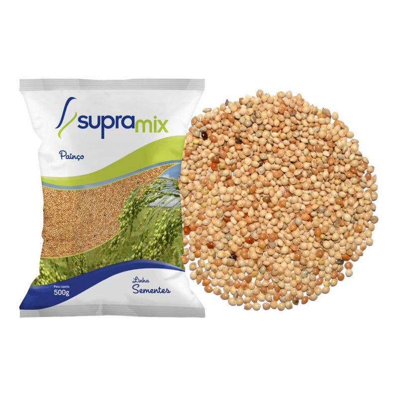 PAINCO-SUPRAMIX-500G