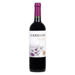 Vinho-Tinto-Uruguaio-Cerrillos-Reserva-Tannat-Garrafa-750ml