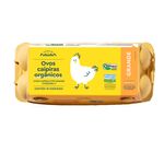 Ovos-Vermelhos-Organicos-Raiar-com-10-Unidades