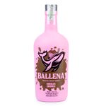 Licor-Ballena-Tequila-e-Chocolate-750ml