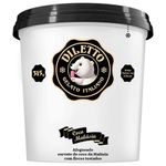 Sorvete-Diletto-Coco-Malasia-Pote-500ml