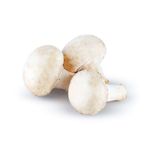 VF4qT-qqCUAAAAAAAAM92g