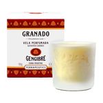 VELA-GRANADO-TERRAPEUTICS-GENGIBRE-180G