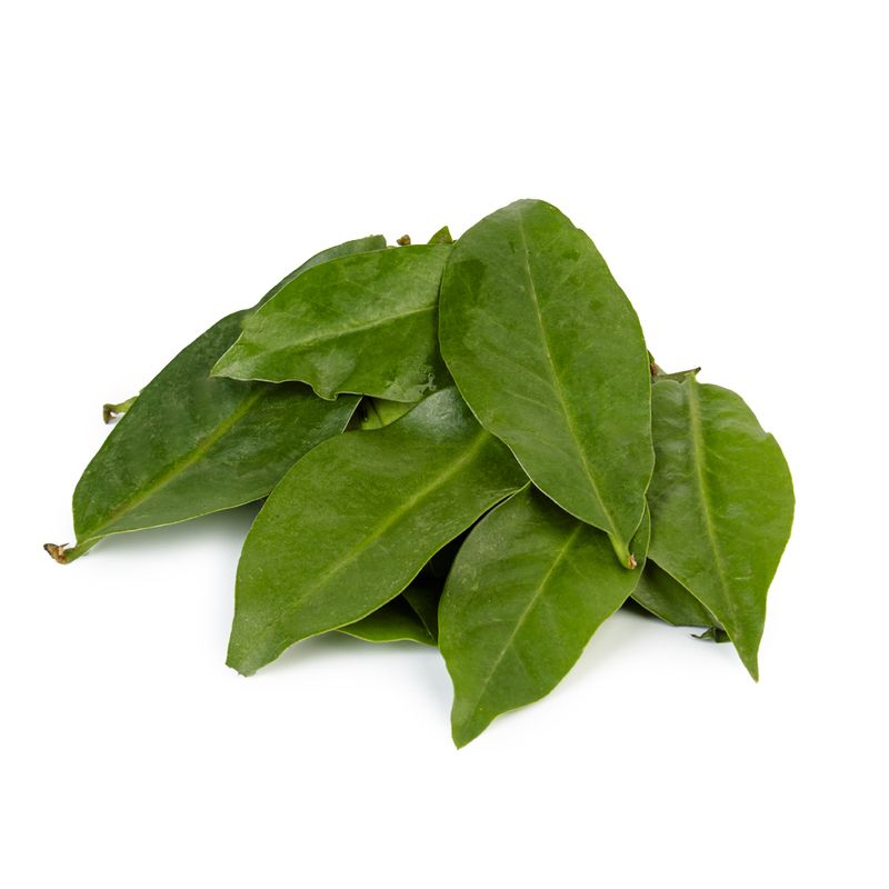 Ora-Pro-Nobis-Organico-Bio-Vida---Quasi-Pronto-80g