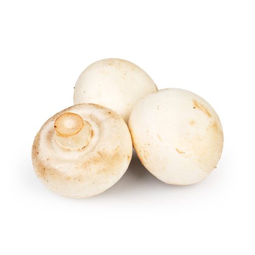 Cogumelo de Paris Orgânico 200g